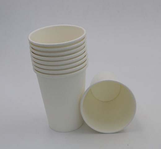Paper cup (13)